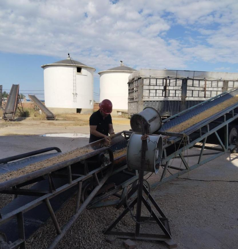 圖片 2.png 圖片 2.png