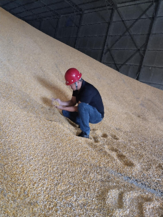 圖片 4.png 圖片 4.png